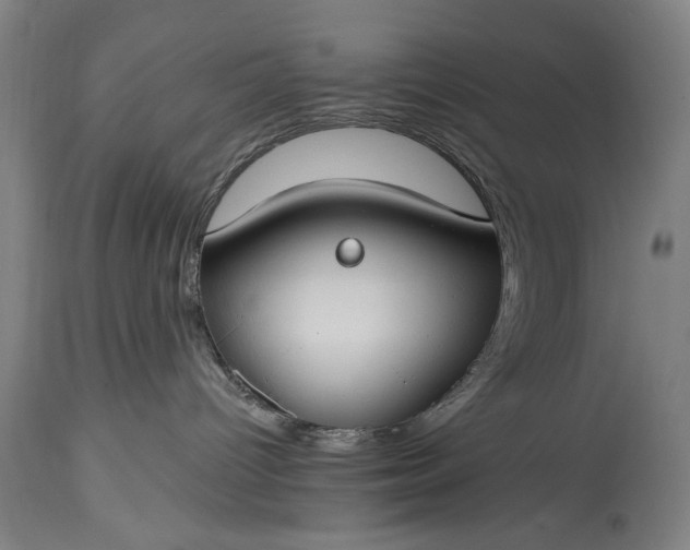 X0000115430096200911181510