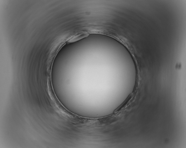 X0000115430097200911181510