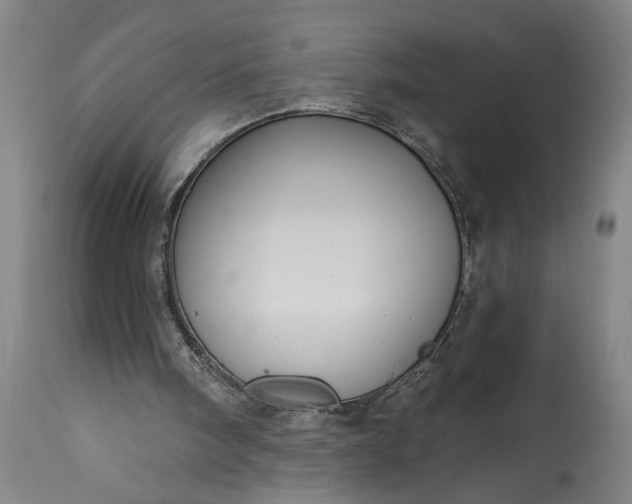 X0000115430098200911181510