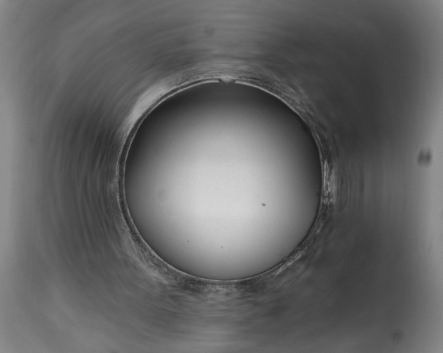 X0000115430099200911181510