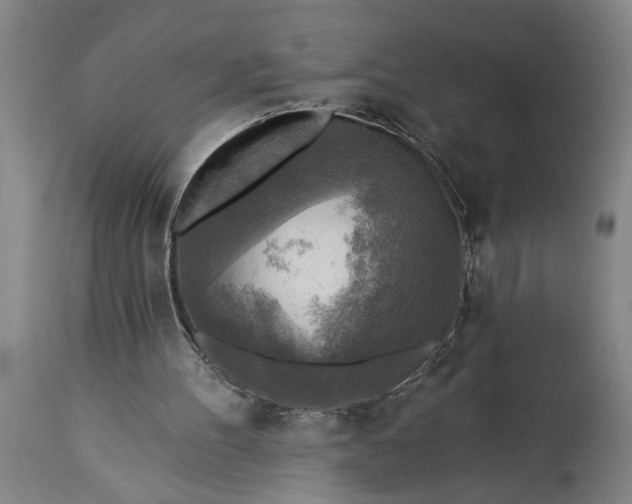 X0000115430100200911181510