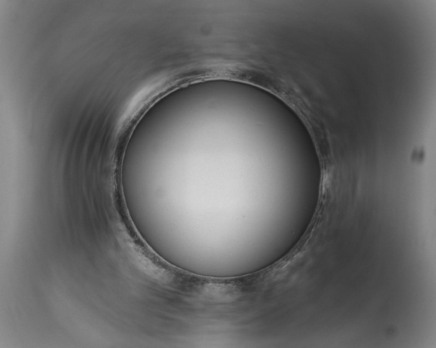 X0000115430101200911181510