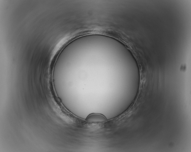 X0000115430102200911181509