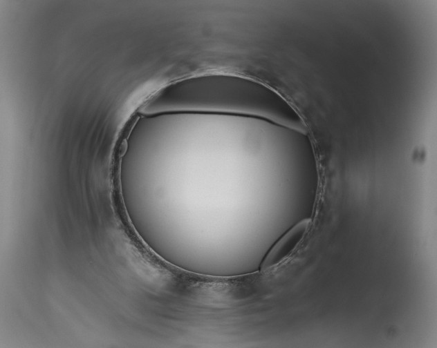 X0000115430104200911181509