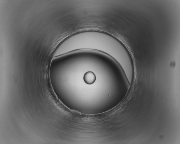 X0000115430105200911181509