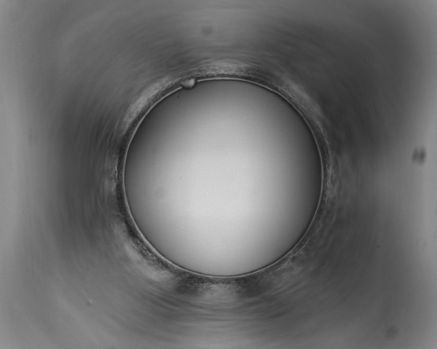 X0000115430107200911181509