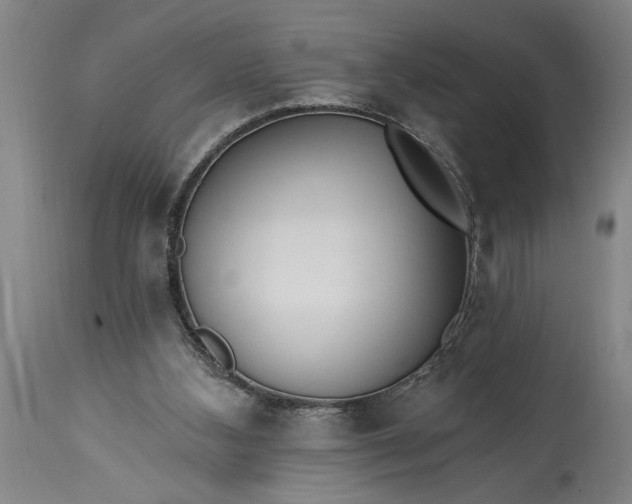 X0000115430108200911181509