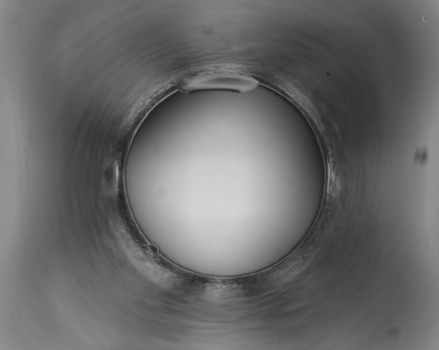 X0000115430109200911181509