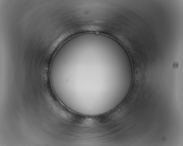 X0000115430111200911181509