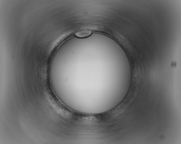 X0000115430112200911181509