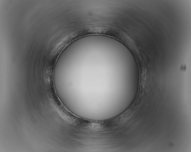 X0000115430114200911181509