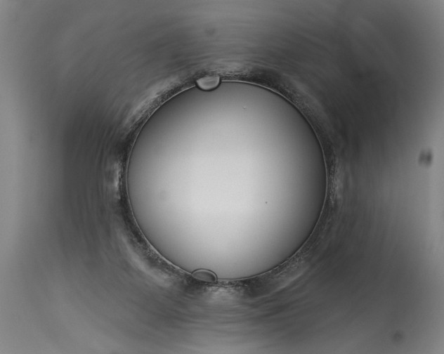 X0000115430115200911181509