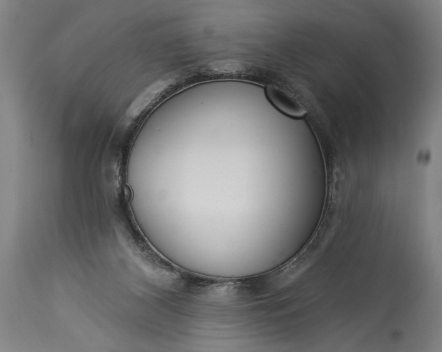 X0000115430116200911181509