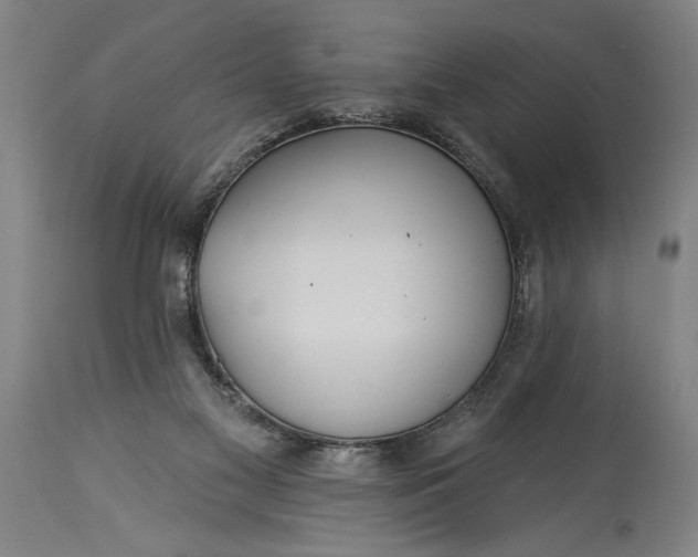 X0000115430117200911181509