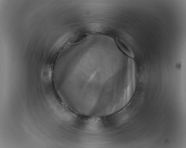 X0000115430124200911181509