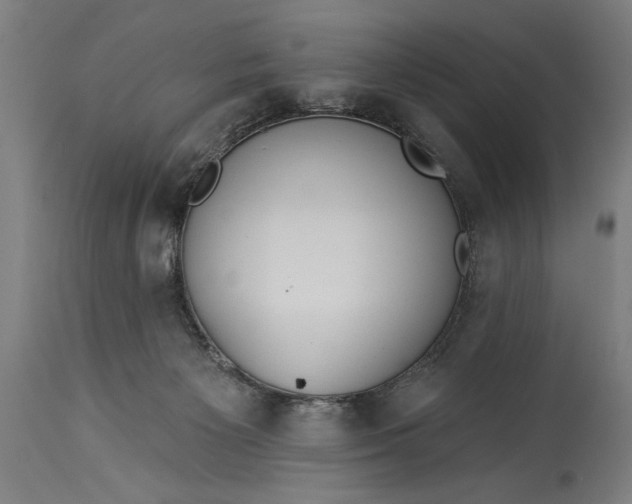 X0000115430125200911181509