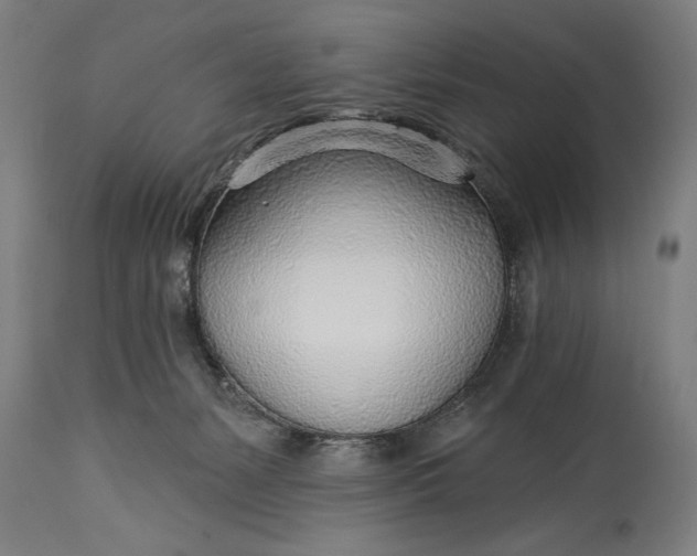 X0000115430127200911181509