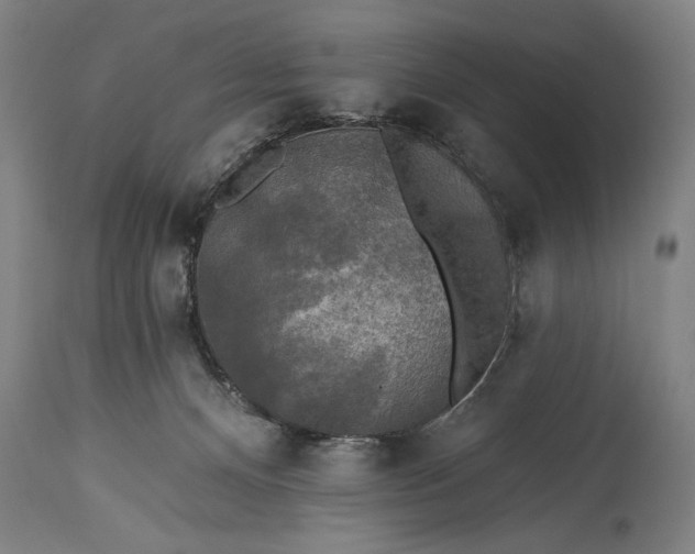 X0000115430128200911181509