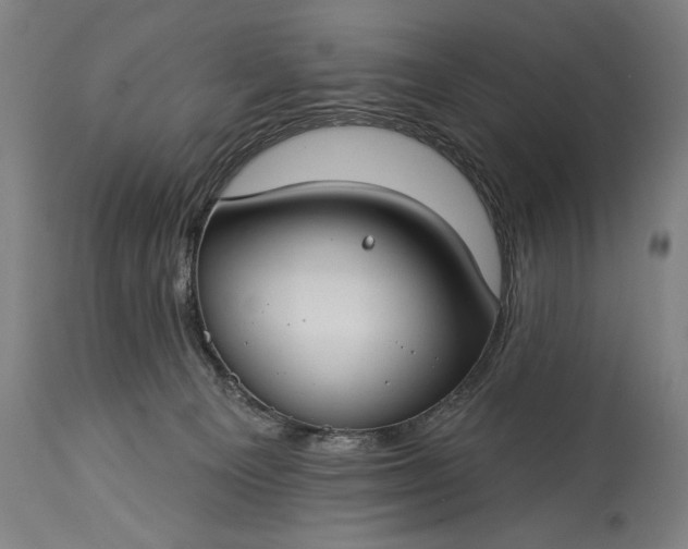 X0000115430129200911181509