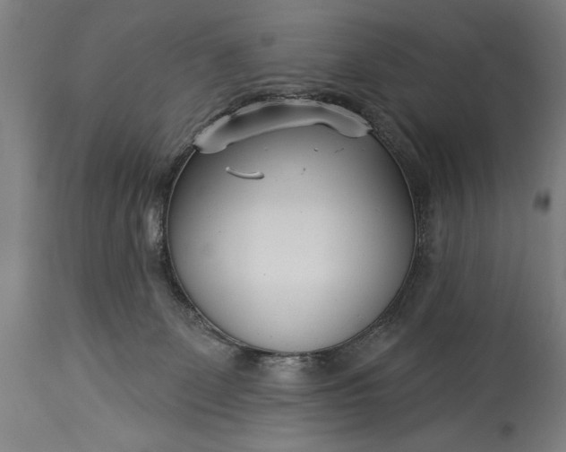 X0000115430131200911181509