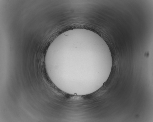 X0000115430133200911181509