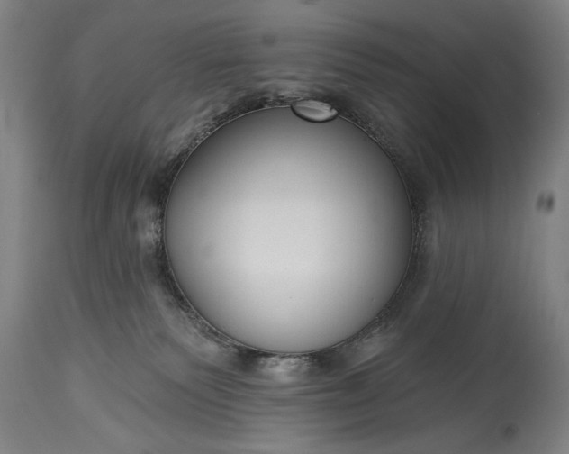 X0000115430135200911181509