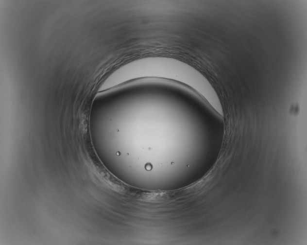 X0000115430136200911181509