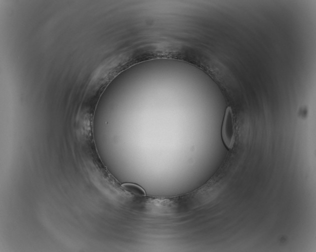 X0000115430137200911181509