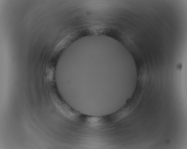 X0000115430139200911181509