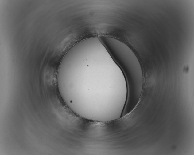 X0000115430140200911181509