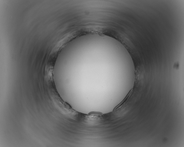 X0000115430141200911181509