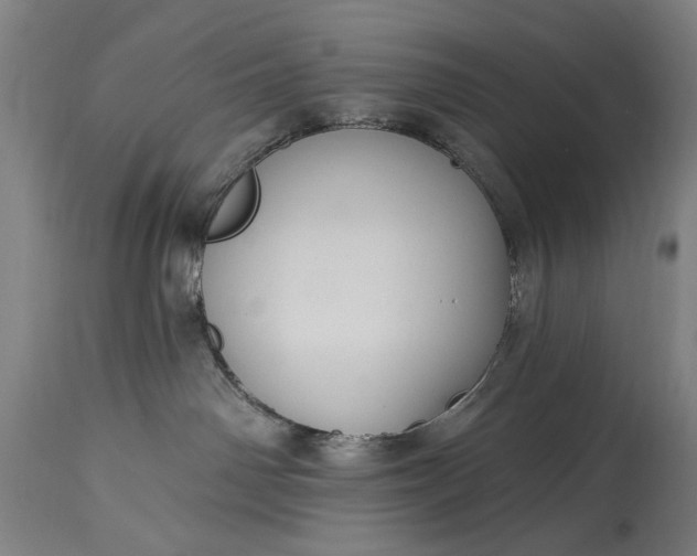 X0000115430142200911181509