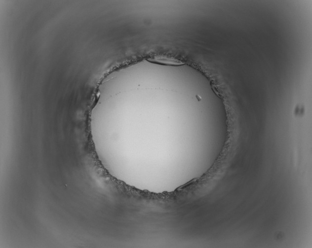 X0000115430144200911181509