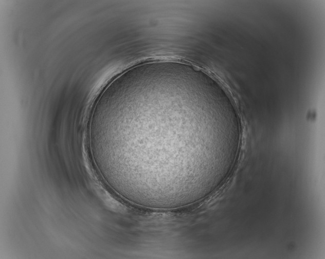 X0000115430145200911181508