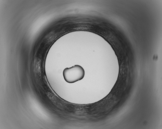 X0000115430146200911181508