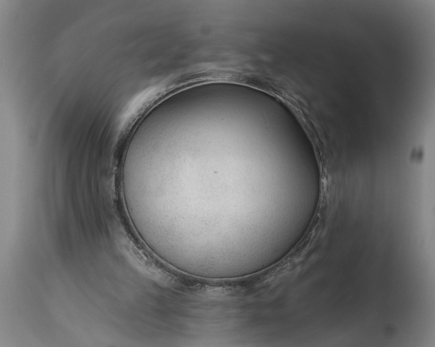 X0000115430149200911181508