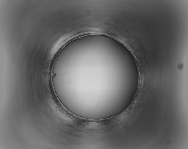 X0000115430151200911181508