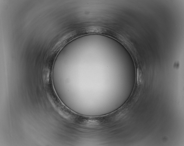 X0000115430157200911181508