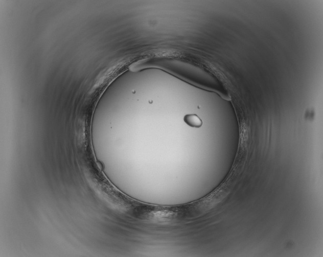 X0000115430158200911181508