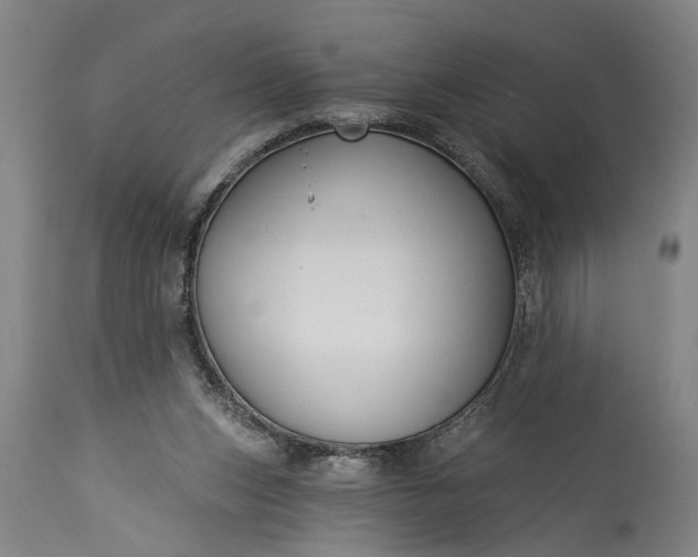 X0000115430159200911181508