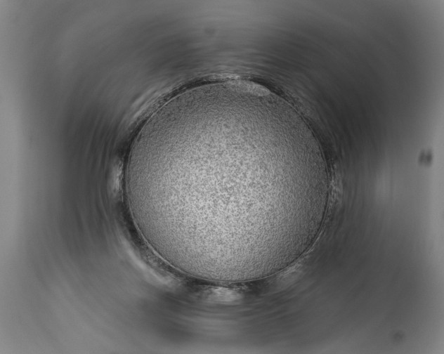 X0000115430166200911181509