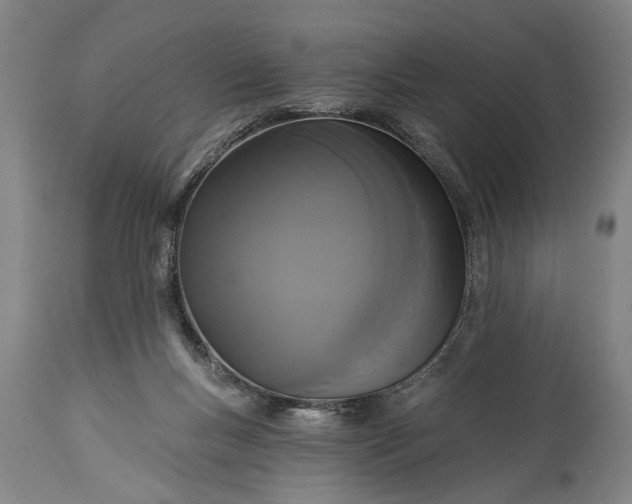 X0000115430167200911181509