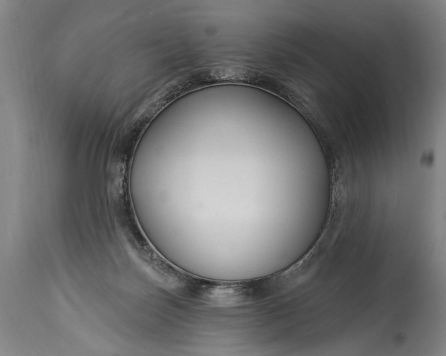 X0000115430171200911181509