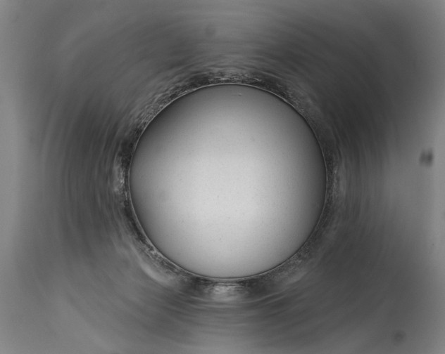 X0000115430173200911181509