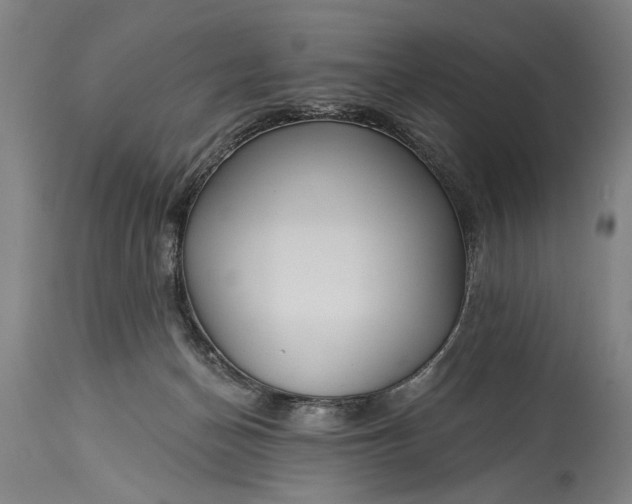 X0000115430174200911181509