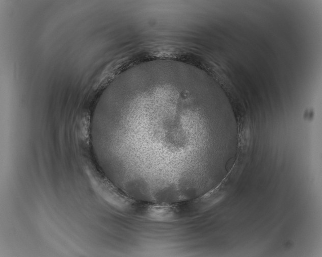 X0000115430175200911181509