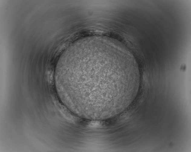 X0000115430177200911181509