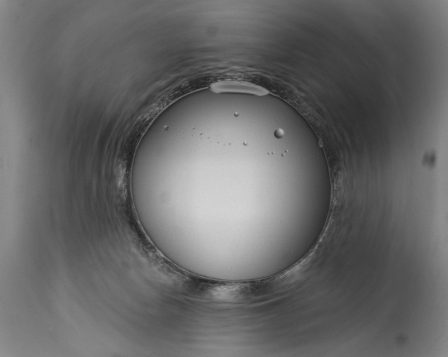 X0000115430178200911181509