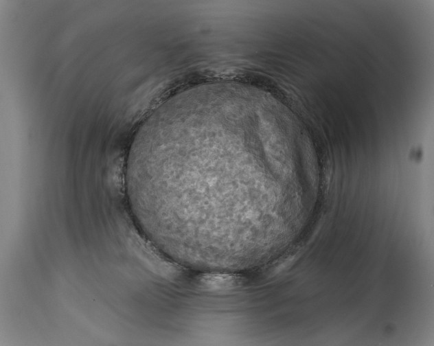 X0000115430181200911181509