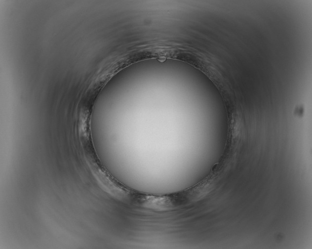 X0000115430185200911181509